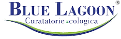 Blue Lagoon Clean